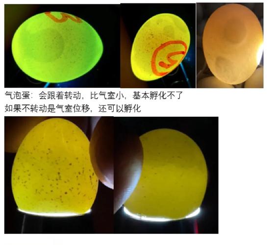 女人梦见小鸡出壳预示着什么？周公解梦里梦到小鸡出壳有什么特殊含义？