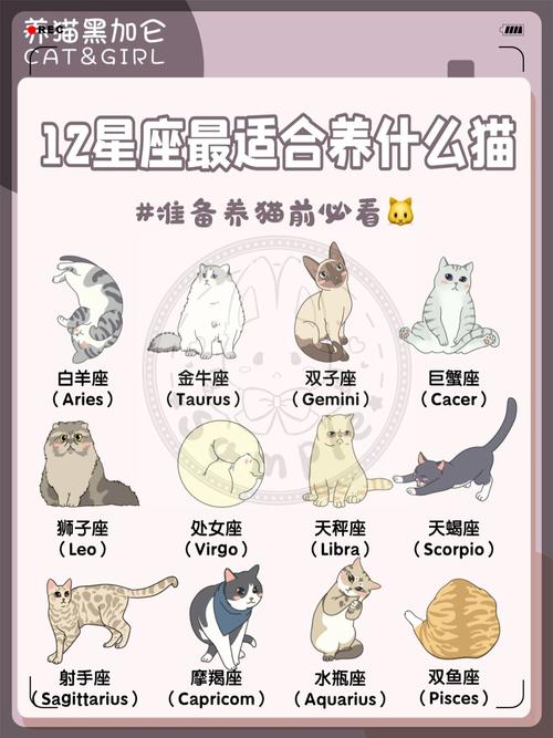 白羊座是否偏爱养宠物？十二星座各自适合养哪些动物？