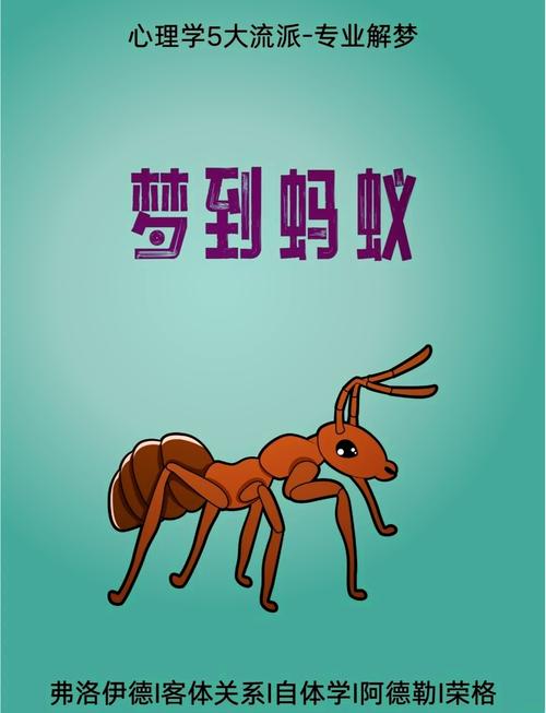 梦见大量蚂蚁爬满身体预示着什么征兆？