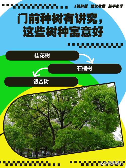 梦见老公在家门前种树是什么寓意或象征？