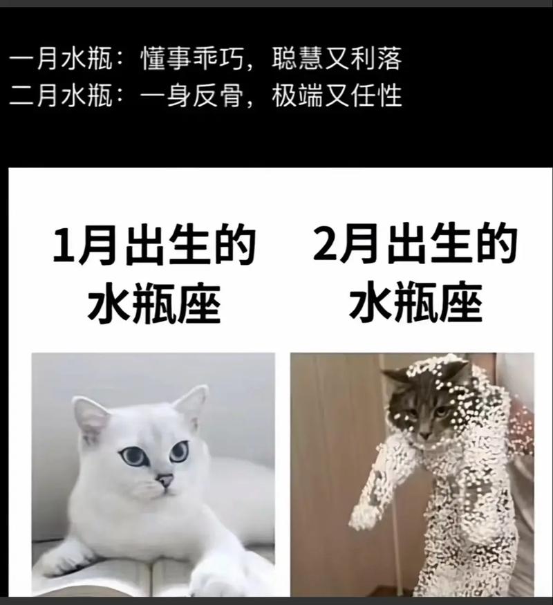 水瓶座是哪几个月份？水瓶座具体是哪几个月份到哪几个月份？