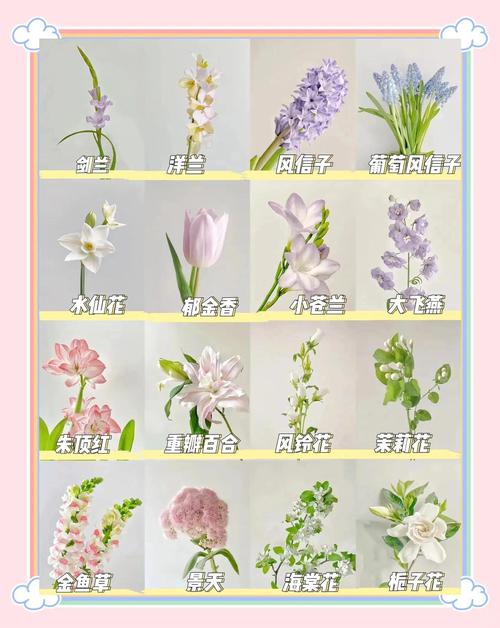 有哪些好听的插花名字和它们各自的寓意呢？