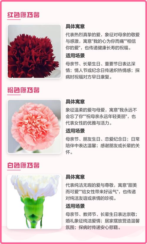 康乃馨不同颜色分别代表什么含义？
