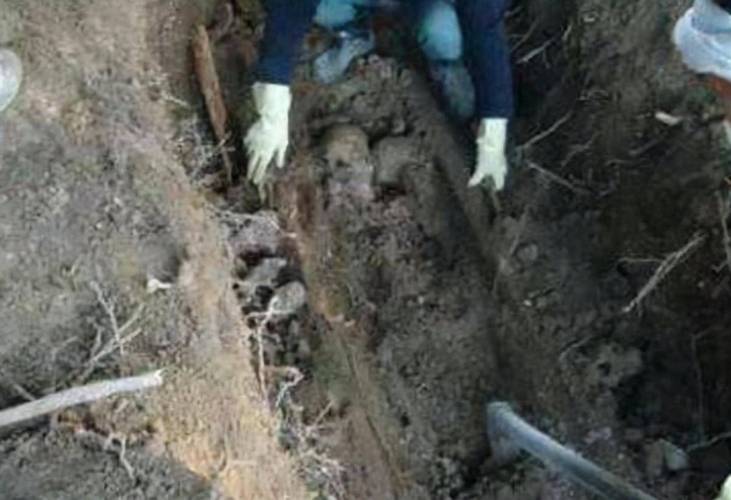 梦见大量坟墓被挖开，里面的尸体被重新挖掘出来这究竟是什么预兆？
