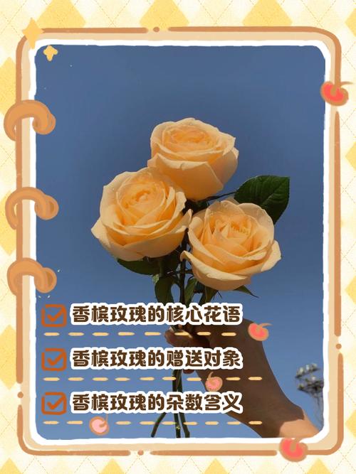 13支香槟色玫瑰花语究竟代表着什么含义？