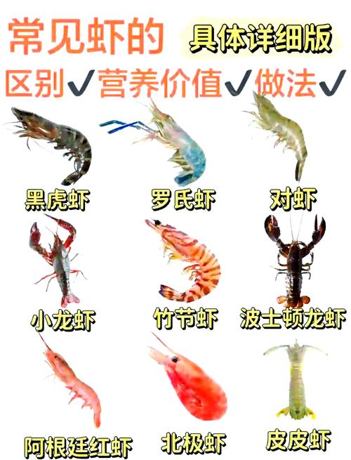 梦见大虾生小虾，这预示着什么吉祥的征兆呢？