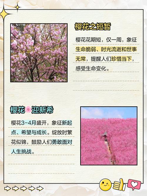 梦见大量樱花有什么特殊含义或象征？