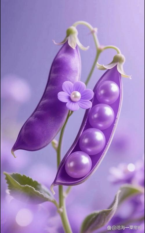 五行中金命的人适合用紫色吗？