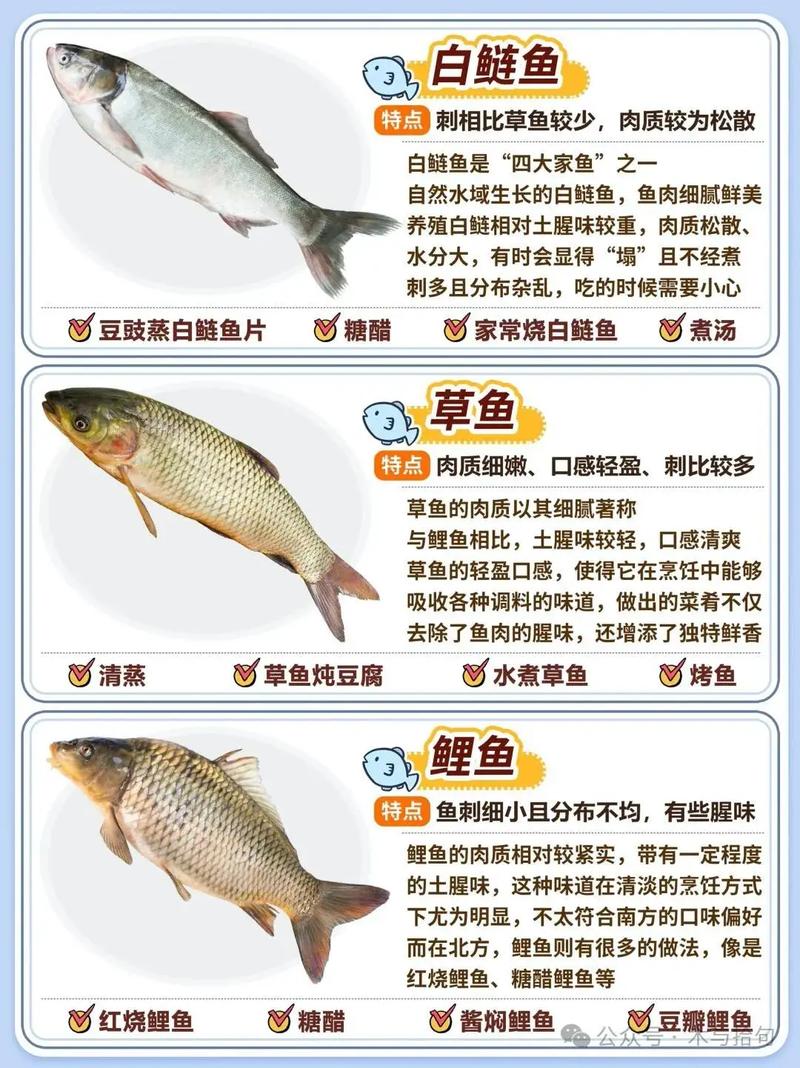 请问你嫩告诉我这100种鱼的名字分别是什么吗？