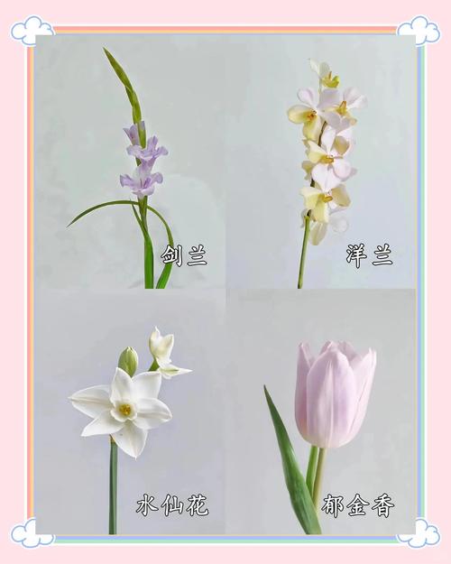 有哪些好听的插花名字和它们各自的寓意呢？