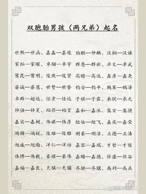 哪个成语可以用来形容令人称赞的双胞胎男孩的名字？