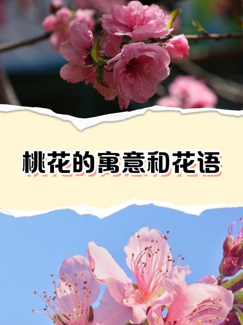 晚上做梦梦见桃花是什么预兆或有什么特殊含义？
