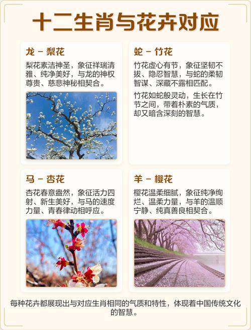 哪个星座对应的花与哪个生肖的花相对应？