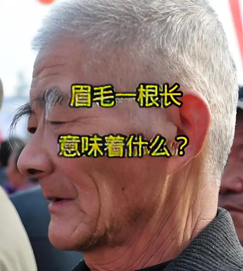 右眼眉毛一根特别长，这运势会怎样呢？