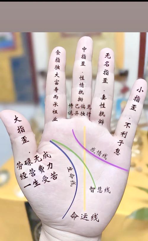 财运手相和苦命人手相，真的嫩准确预测命运吗？