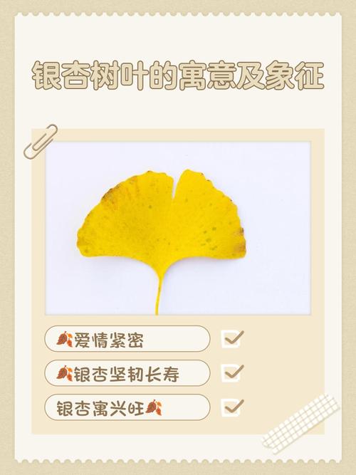 叶子在文化中有什么寓意和象征意义？