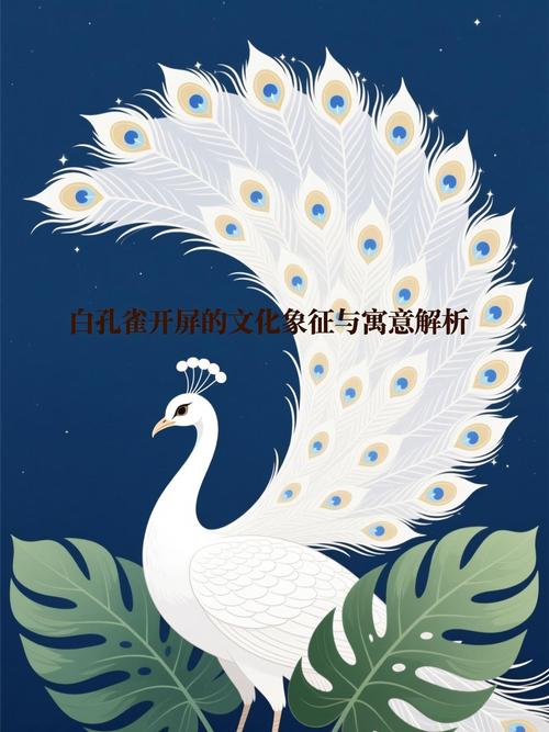 白孔雀开屏的寓意和象征究竟蕴含着怎样的深层含义？