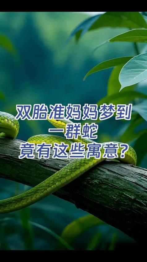 梦见年纪大的母亲双胞胎有什么特殊预兆？
