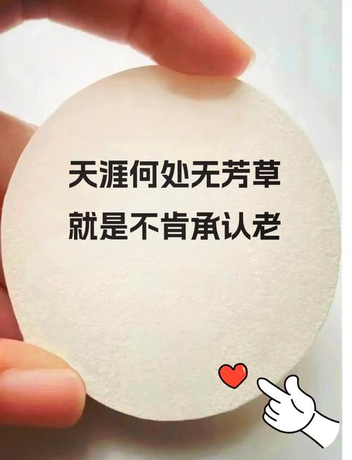 个个眉秀似山，这等绝世容颜，世间可有第二人？