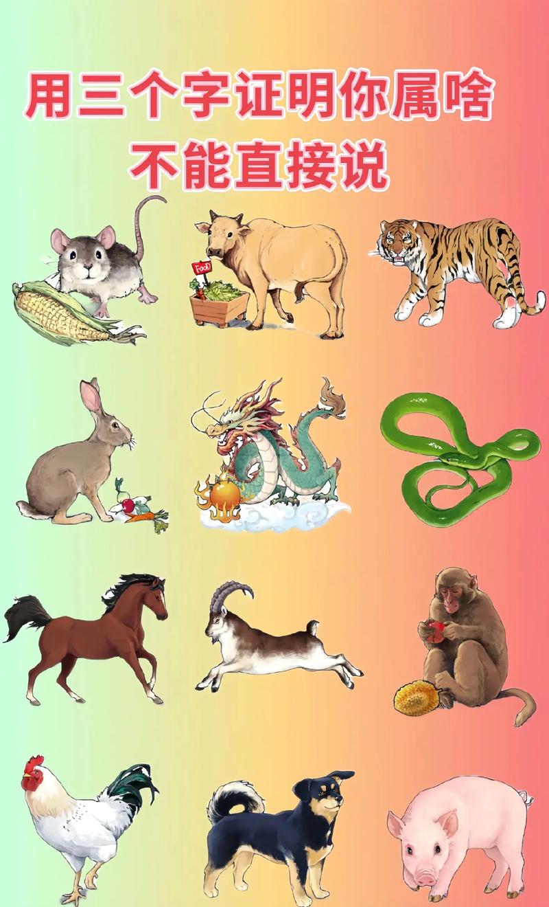 争风吃醋打哪个生肖动物，尾巴特长？