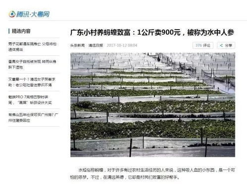 2026年黄历预警