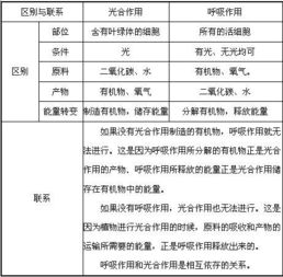 第一层次：基础框架——四柱