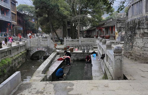 一、 初到园洲：感受时间的味道