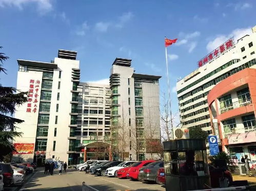 第五站：西和平路100号——“卫星诊所”与流动车队