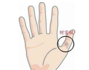 手掌三角纹有什么寓意？
