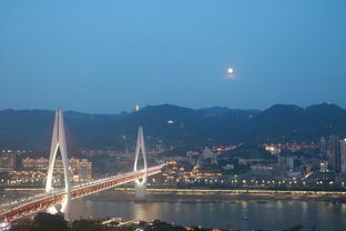 三多桥白鹭保护区：堪堪鸟儿飞