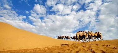 穿越荒漠到呼和浩特——中途加点“乌龙”