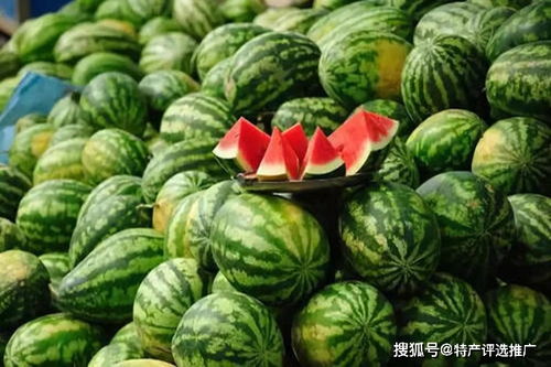 挑日子三大绝招！不看后悔一辈子！