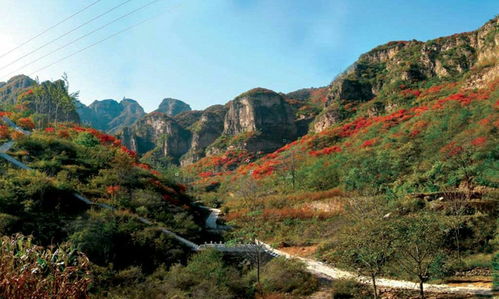第二站：云峰山风景区——登山还是蹦迪？