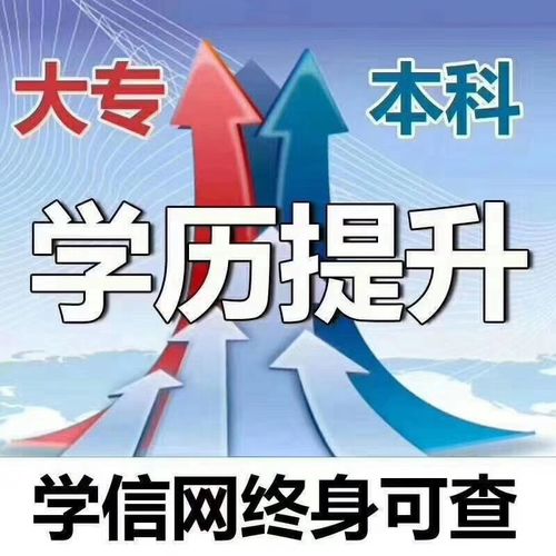 2.1 属龙——较高血压与龙脉冲击波