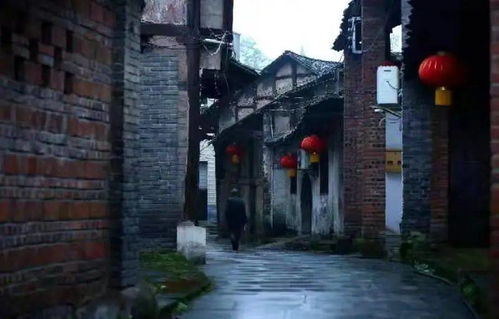 雨中的安仁， 诗意栖息地