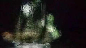 风水局中的生死劫