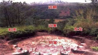 澳门风水事件真实案例,风水故事十大真实案例