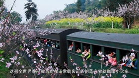 三、体验细节——把工业生产遗产变成情绪共振器
