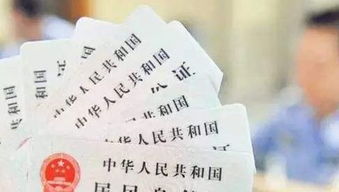 先说先说——你这位猪年诞生的朋友， 老天爷别闹，我这儿有点较小道理给你摆一摆，顺便也算算你的年龄，别让你天天自诩“几岁了？”