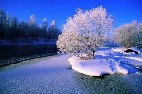 1. 冰雪旅游节庆活动的新高度
