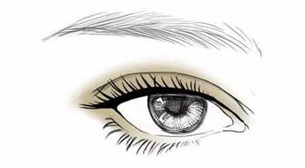 震惊！原来你的眼睛形状暴露了这么多不可告人的秘密！