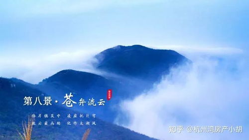 #美景与谁共赏#——随意搭配版