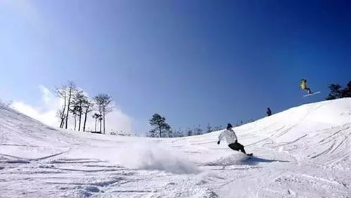 马圈湾滑雪场的冬日雪景，是不是美得像一幅画呢？