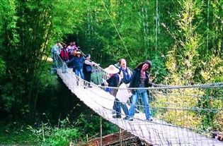 救命啊！香溪堡那些所谓的