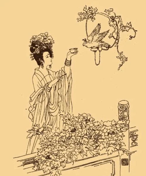 历史持续发展上的其他案例对比解析
