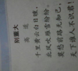 千里之行，始于足下。文明礼仪，如何体现于日常行为？