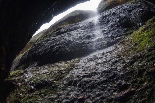 东非大裂谷的回响