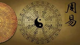 企业命名中的74：吉中带凶需谨慎