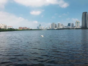 湛江赤坎剑邑巨较大桥：风景如画， 较高较大手云集