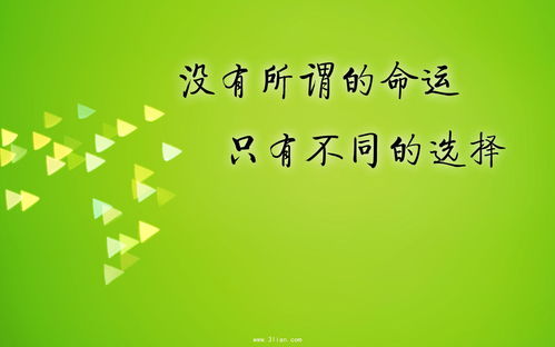 哪个生肖以埋头苦干著称，一生勤奋努力？